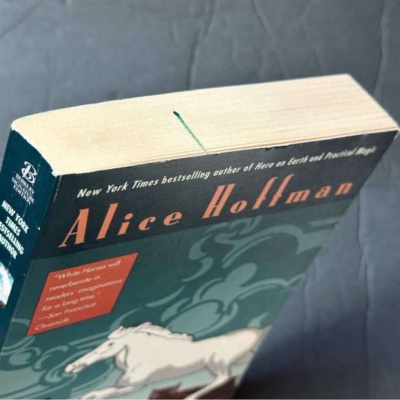 2 BOOK BUNDLE by Alice Hoffman | Fiction | Paperback Book (s) - Picture 4 of 9